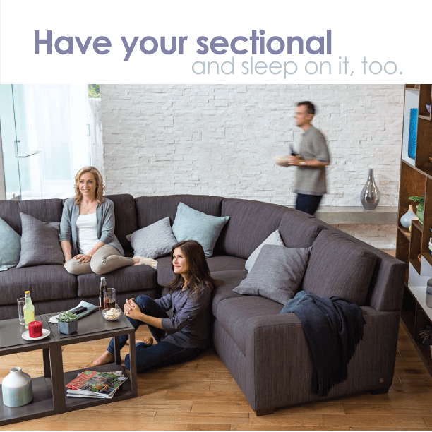 comfort sleeper, American Leather Comfort Sleeper® Collection, BY DESIGN furniture + interior design